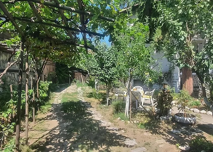 Dvata Smurcha - Free Parking