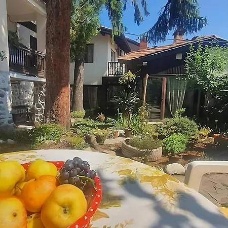 Dvata Smurcha - Free Parking Lägenhet *